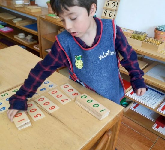 12E7F075-1B69-4BA5-8555-3A772B0A9A2B