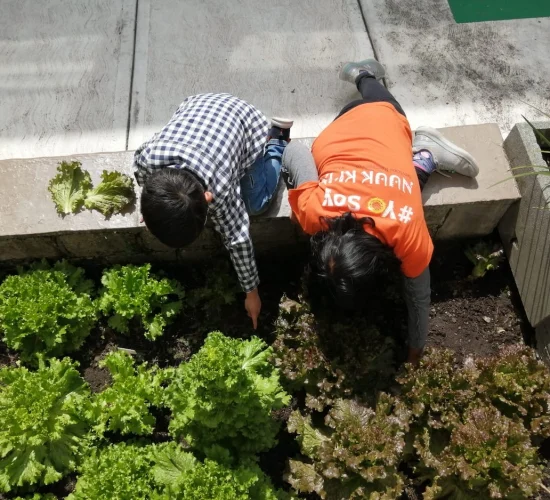 E2DAD45E-F6F9-4117-AAB1-ABDBE09B0466